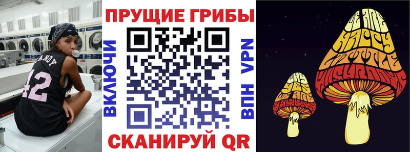 цена наркотик  Буйнакск  Галлюциногенные грибы мицелий 