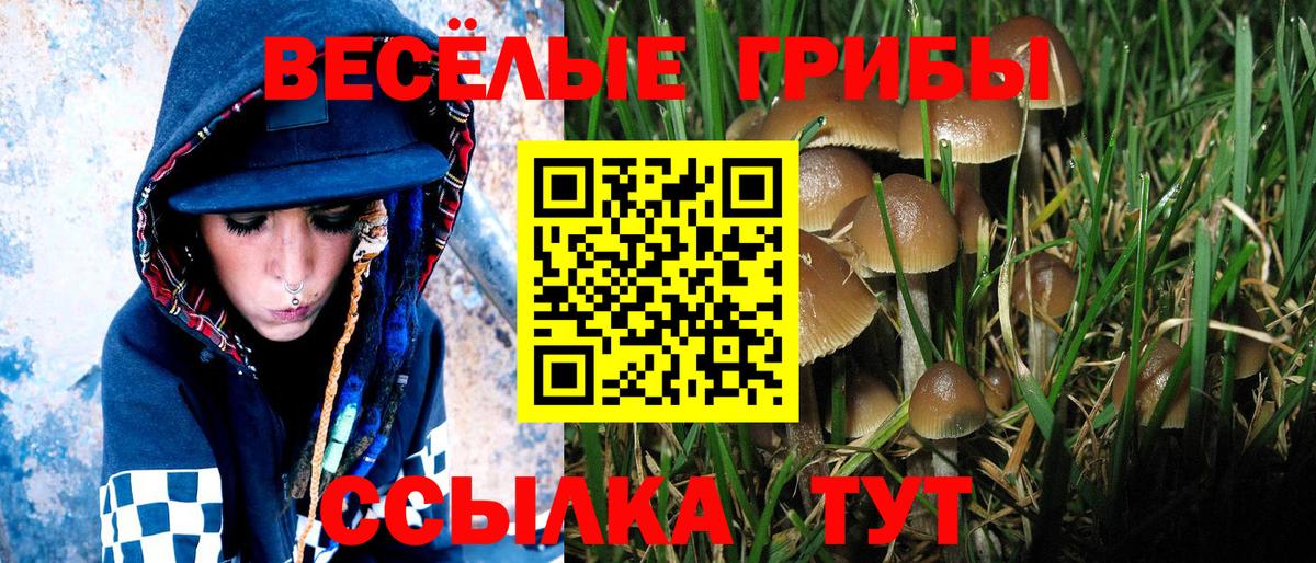 Псилоцибиновые грибы GOLDEN TEACHER  Вход с VPN  Псилоцибиновые грибы ЛСД  Буйнакск 