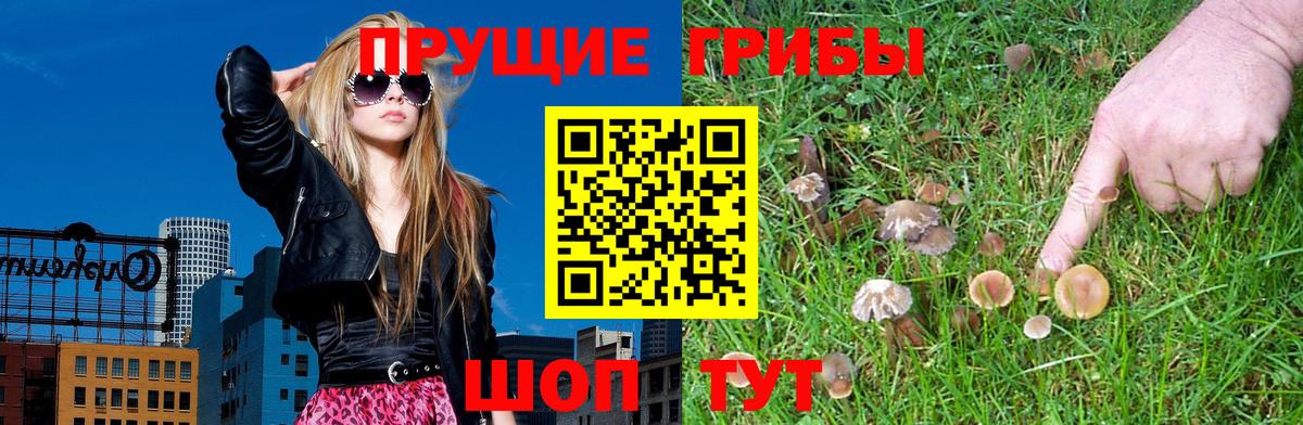 Галлюциногенные грибы Magic Shrooms Буйнакск